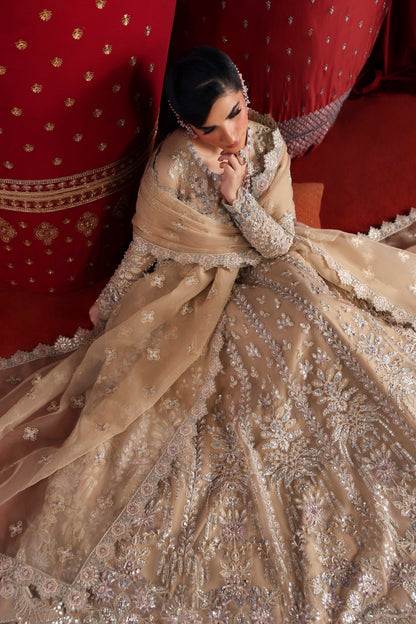 Akbar Aslam Parisa embroidered organza dupatta