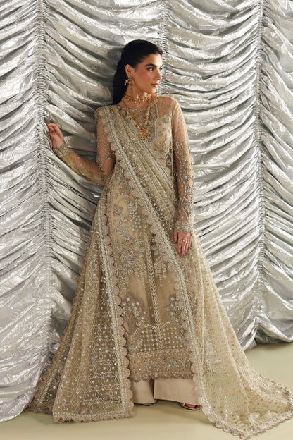 Akbar Aslam Roshanara organza front border detail