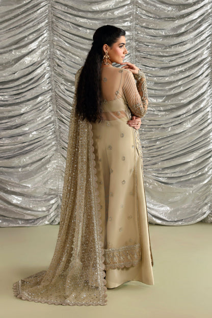 Akbar Aslam Roshanara embellished net sleeves close-up