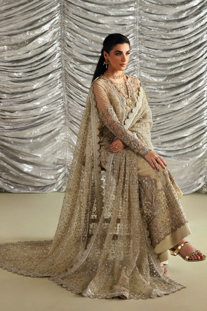 Akbar Aslam Roshanara back view with organza back border