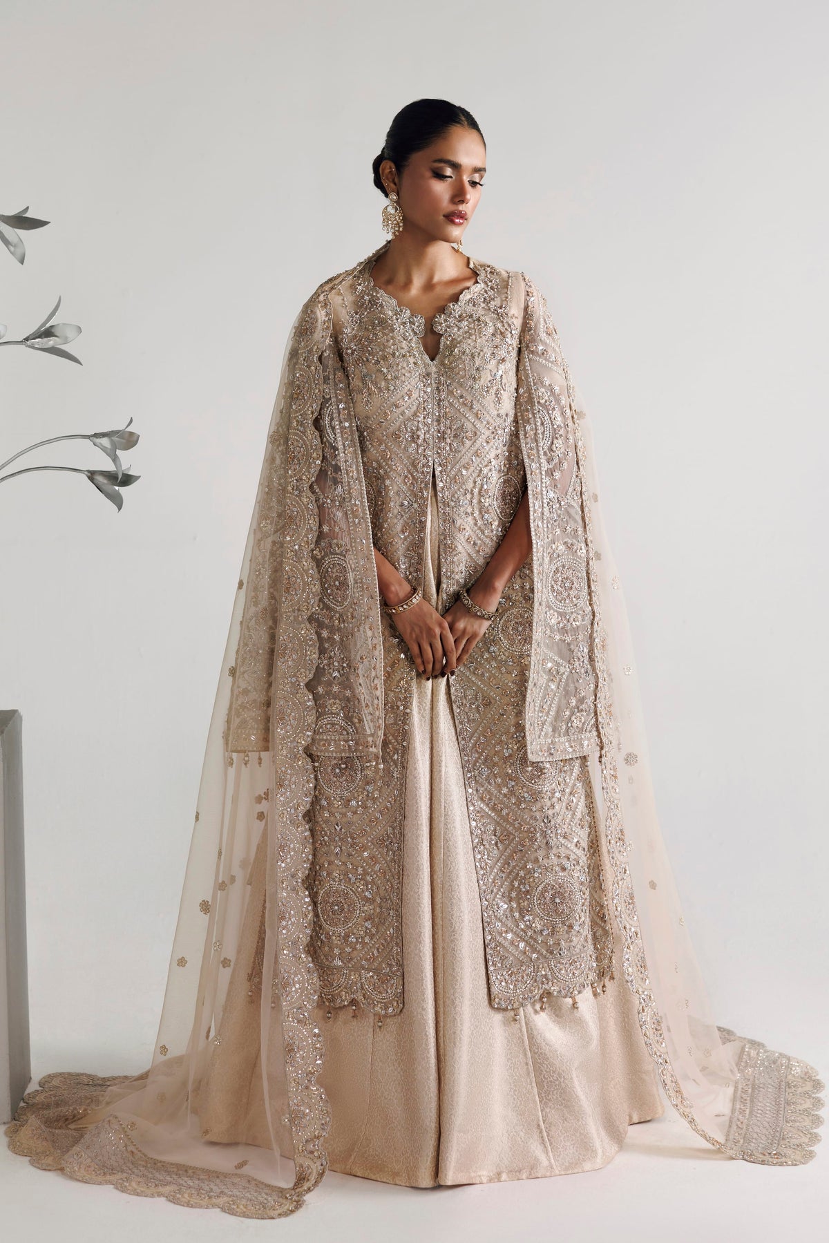 Akbar Aslam Reina organza shirt with net dupatta