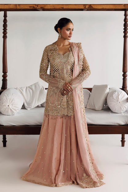 Akbar Aslam Livia embellished organza short shirt with chiffon sharara