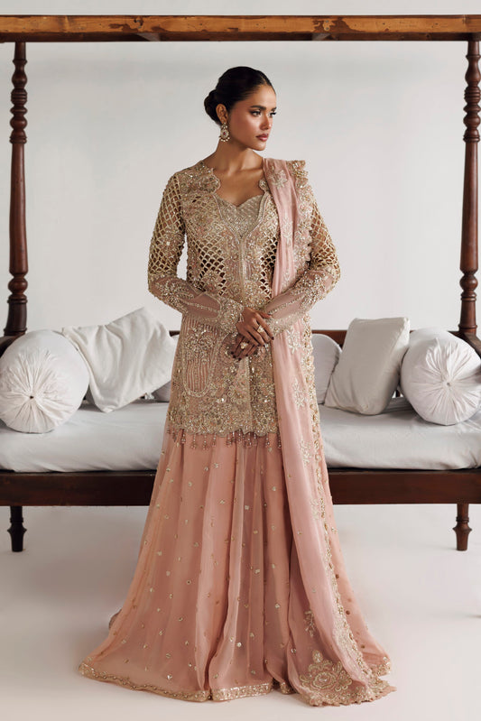 Akbar Aslam Livia embellished organza short shirt with chiffon sharara