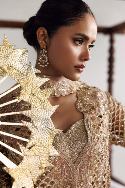 Akbar Aslam Livia embroidered chiffon sharara with organza border