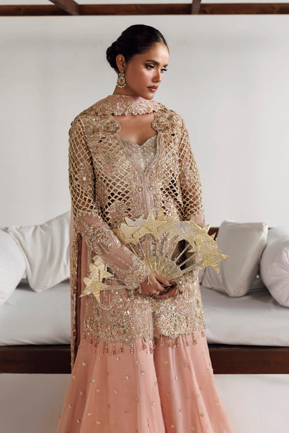 Pakistani formal Livia by Akbar Aslam