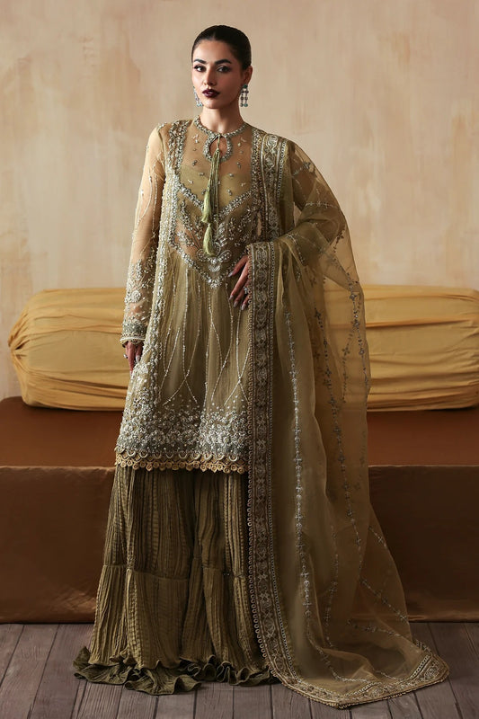Exquisite hand-embroidered organza suit featuring detailed front, back, and sleeves panels, paired with an embroidered organza dupatta and dyed trousers for festive elegance.