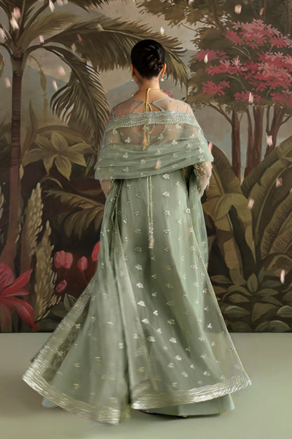 Akbar Aslam Zohal back view with net back border