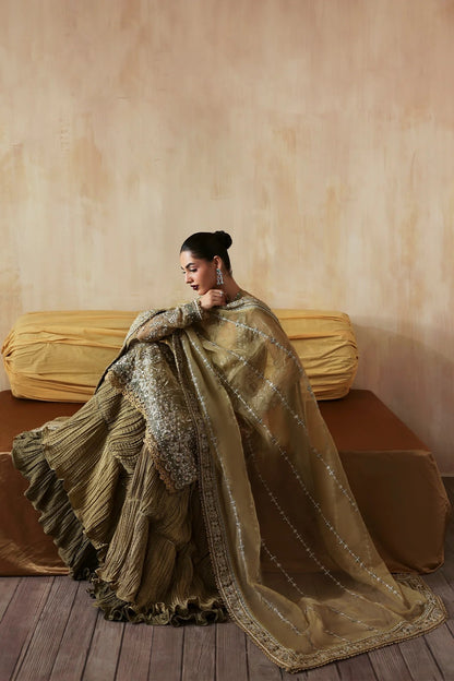 Exquisite hand-embroidered organza suit featuring detailed front, back, and sleeves panels, paired with an embroidered organza dupatta and dyed trousers for festive elegance.