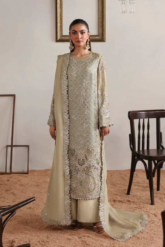 Akbar Aslam Evora hand-embellished chiffon kameez with trouser