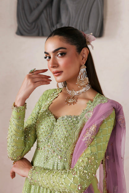Akbar Aslam Zarelle organza front motif and embellished blouse detail
