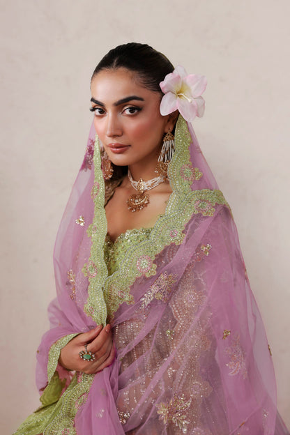 Akbar Aslam Zarelle embroidered net dupatta with organza border