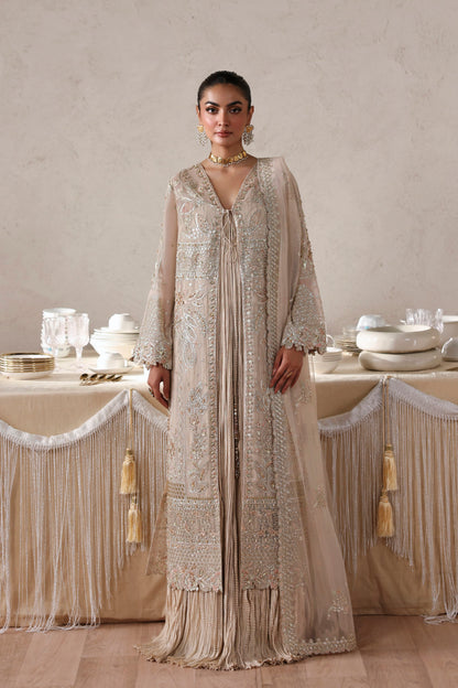 Akbar Aslam Marceline hand-embellished chiffon kameez with trouser