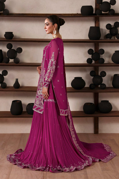 Akbar Aslam Rosalie organza gharara border close-up
