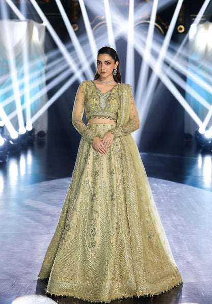 Mint Majesty by Elaf Stardom ’25 features hand-embroidered organza-poly net panels, elegant dupatta, and raw silk inner — perfect for festive and formal events.
