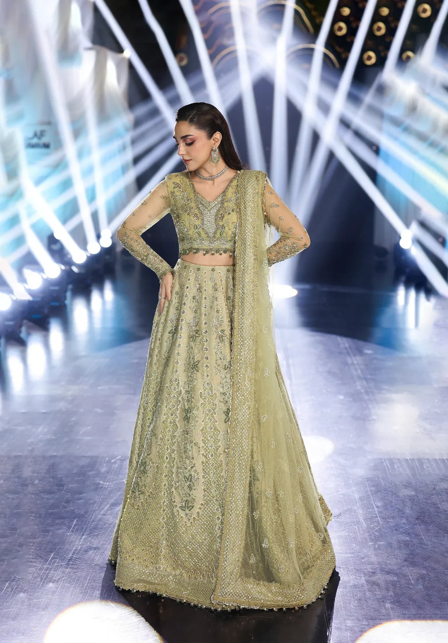 Mint Majesty by Elaf Stardom ’25 features hand-embroidered organza-poly net panels, elegant dupatta, and raw silk inner — perfect for festive and formal events.