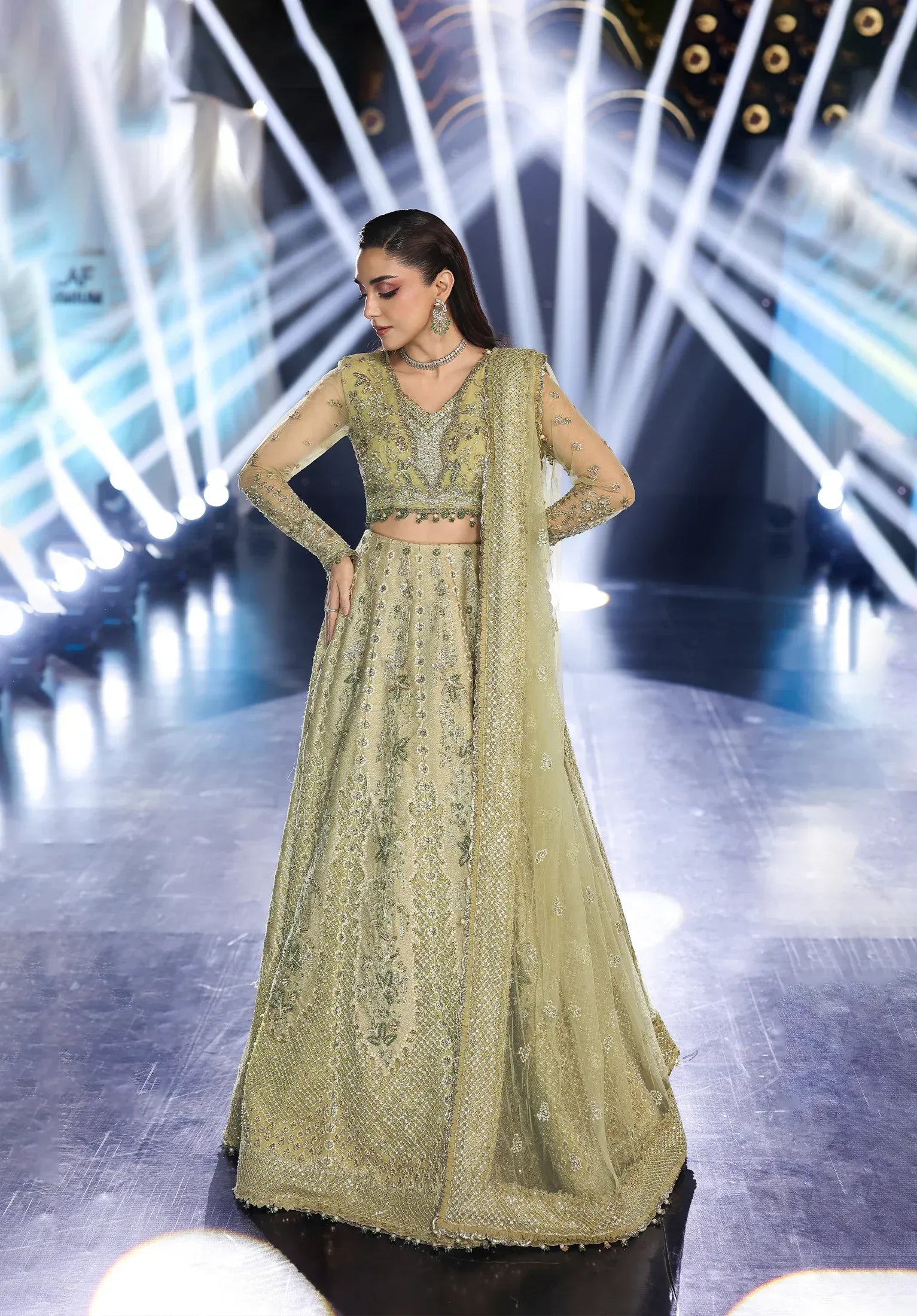 Mint Majesty by Elaf Stardom ’25 features hand-embroidered organza-poly net panels, elegant dupatta, and raw silk inner — perfect for festive and formal events.