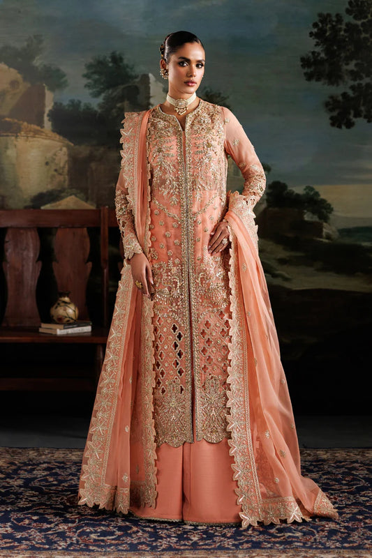 Elegant organza embroidered dress with hand embellished panels, sleeves & borders. Includes dupatta, raw silk trouser and inner fabric.