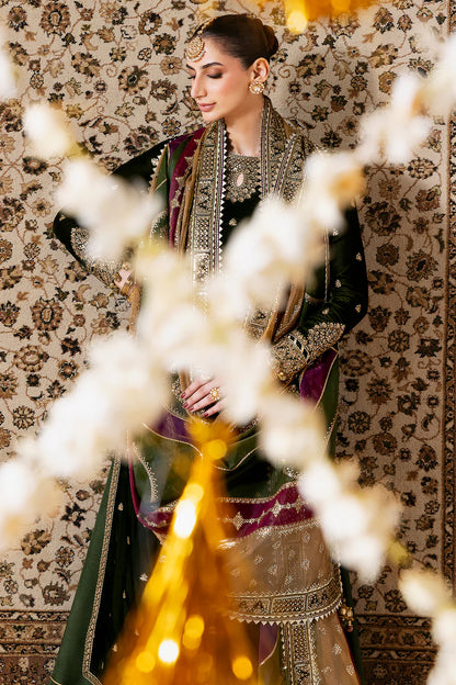 Luxurious velvet suit with intricate embroidery, dyed raw silk bottom, and embroidered organza dupatta. Perfect for formal occasions with timeless elegance.