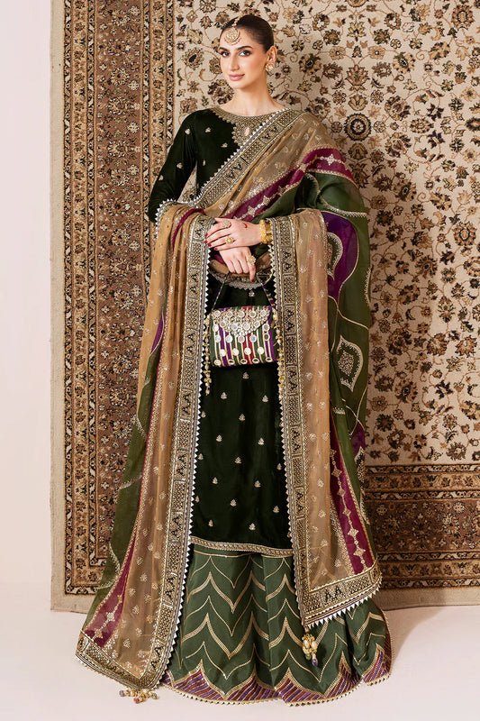 Luxurious velvet suit with intricate embroidery, dyed raw silk bottom, and embroidered organza dupatta. Perfect for formal occasions with timeless elegance.