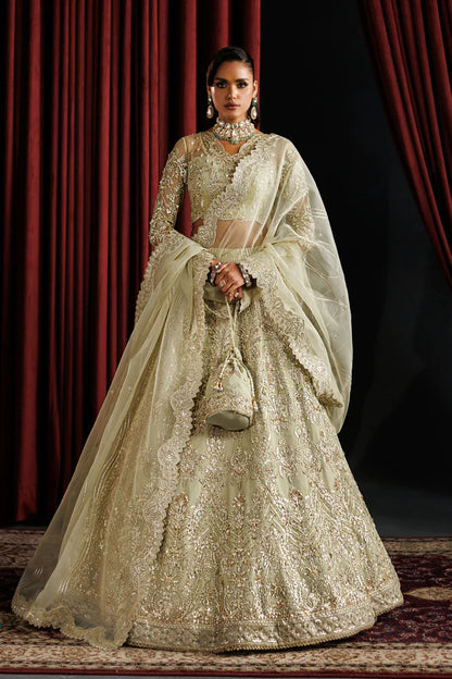 Elegant net embroidered lehenga with hand embellished panels & sleeves. Includes organza dupatta, kalli border and 6 yards inner fabric.