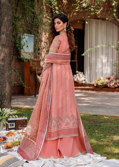 Akbar Aslam Mehrbano organza chaak border close-up