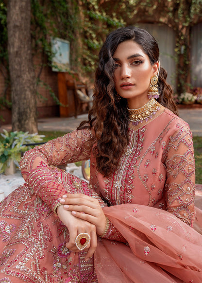 Akbar Aslam Mehrbano back view of organza shirt
