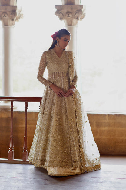 Afrozeh Hikayat champagne-gold embroidered organza maxi with jamawar trouser