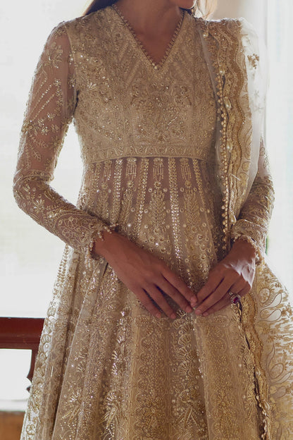 Hikayat by Afrozeh – Pakistani wedding guest organza maxi