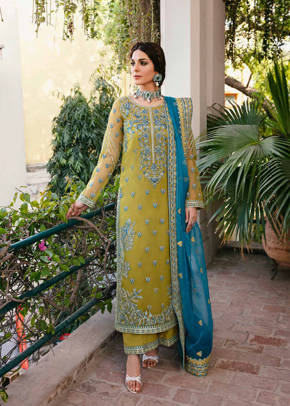 Akbar Aslam Davina embroidered organza shirt with trouser