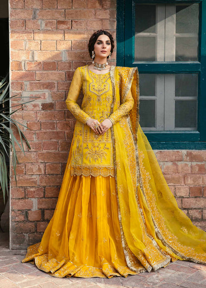 Cailin by Akbar Aslam – Pakistani wedding guest lehenga