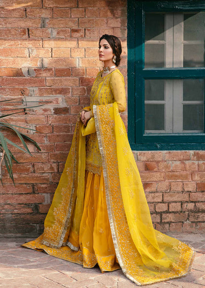 Akbar Aslam Cailin embellished front border detail