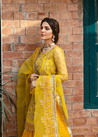 Akbar Aslam Cailin embroidered organza lehenga close-up