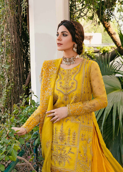 Akbar Aslam Cailin embroidered organza dupatta with border