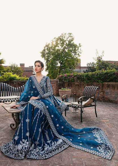 Akbar Aslam Nayara organza dupatta and blouse close-up