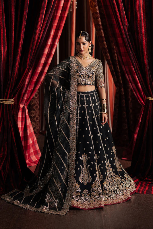 Elegant black raw silk embroidered suit featuring detailed front and back panels, organza sleeves, and a richly embroidered organza dupatta with red accents—perfect for luxury festive wear.
