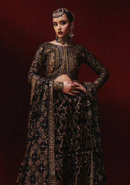 AIK Atelier Dastoor A2401 velvet lehenga panels