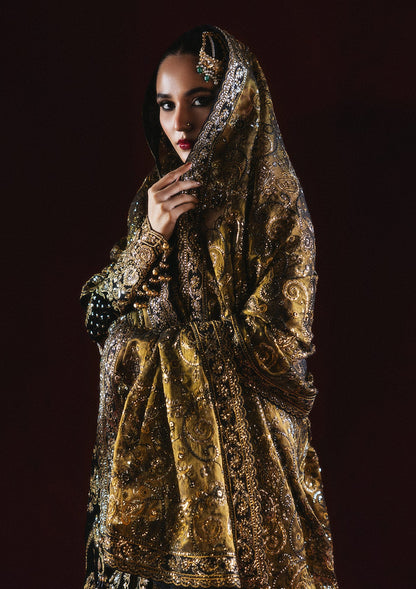 AIK Dastoor Velvet '24 Look A2408 – Pakistani winter wedding outfit