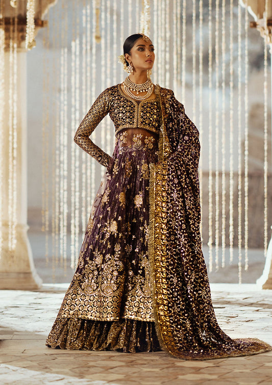 AIK Atelier Dastoor Look A2410 purple velvet and net formal with sitara embroidery