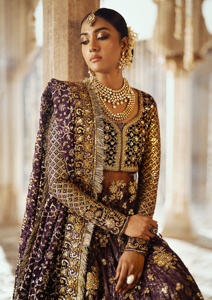 AIK Atelier Dastoor A2410 velvet bodice sitara detail