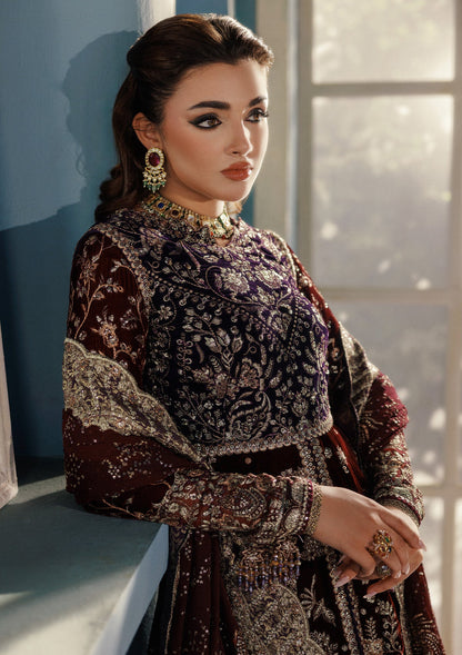 AIK Atelier Udaipur A2503 Pakistani velvet suit with chiffon dupatta