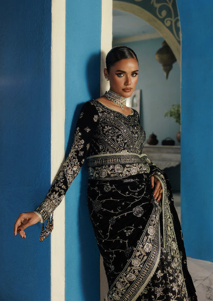 Elegant embroidered velvet blouse with organza detailing, paired with chiffon saree featuring velvet pallu, embroidered borders, and medium silk petticoat for festive occasions.