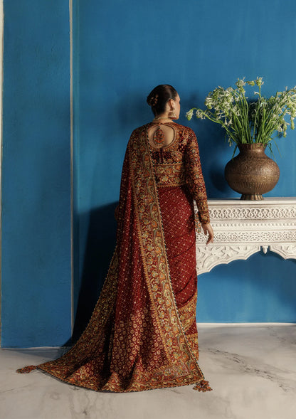 Elegant embroidered velvet blouse with organza detailing paired with chiffon saree featuring embroidered pallu, borders, and medium silk petticoat for festive wear.