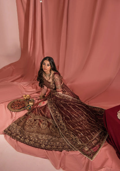 Festive mahogany net ensemble inspired by Kashmiri craftsmanship, featuring oxidised gold and bronze tilla, antique sequins, hand embellishments, masoori silk pants, and an embroidered net dupatta.