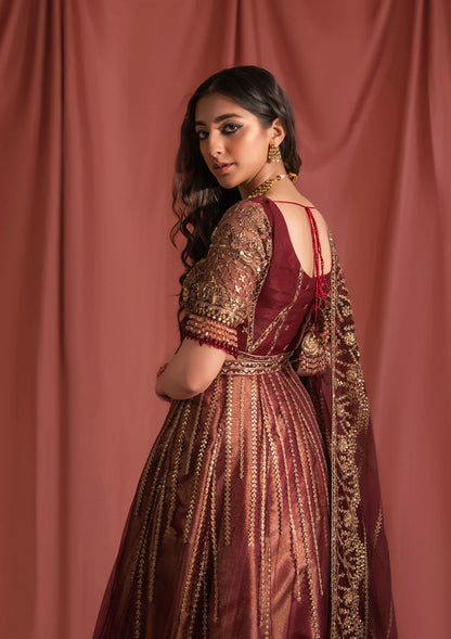 Festive mahogany net ensemble inspired by Kashmiri craftsmanship, featuring oxidised gold and bronze tilla, antique sequins, hand embellishments, masoori silk pants, and an embroidered net dupatta.
