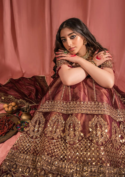Festive mahogany net ensemble inspired by Kashmiri craftsmanship, featuring oxidised gold and bronze tilla, antique sequins, hand embellishments, masoori silk pants, and an embroidered net dupatta.
