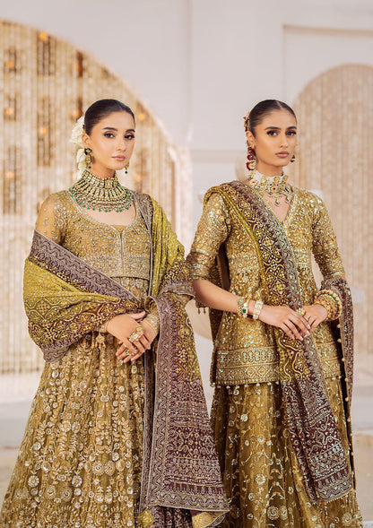 AIK Atelier Look B2404 dupatta pallu close-up