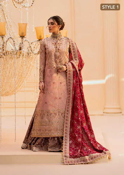 Elegant tissue ensemble with rich embroidery, embellished borders, jamawaar pants, and a silk dupatta. Styled as a long shirt with gharara or izaar pants.