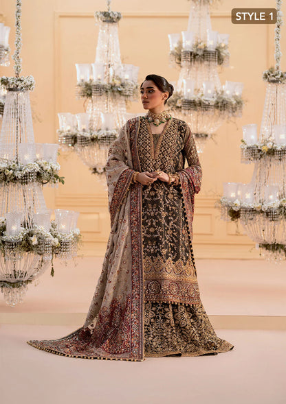 Luxurious organza ensemble with embellished front, intricate borders, jamawaar pants, embroidered net panels, and a tissue jaal dupatta. Styled as a long shirt with lehnga or gharara.