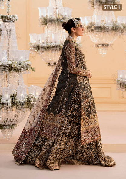 Luxurious organza ensemble with embellished front, intricate borders, jamawaar pants, embroidered net panels, and a tissue jaal dupatta. Styled as a long shirt with lehnga or gharara.