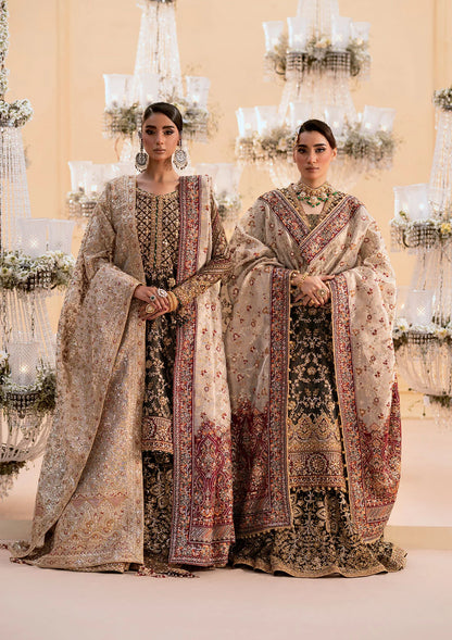 Luxurious organza ensemble with embellished front, intricate borders, jamawaar pants, embroidered net panels, and a tissue jaal dupatta. Styled as a long shirt with lehnga or gharara.